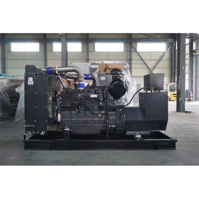 200kw上柴股份柴油發電機組-上柴股份6缸柴油機SC9D310D2柴油發電機組,缸徑/行程：135/150mm,柴油發電機組水冷發動機功率228KW,柴油發電機組配套馬拉松斯坦福發電機。廠價直銷歡迎選購：13773399855。